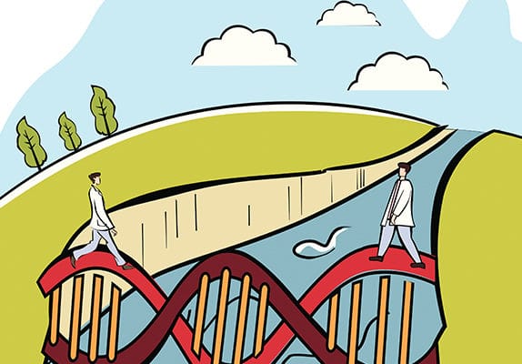 Un pont en ADN entre les Hommes